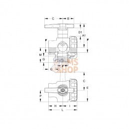 8218351; GEOLINE; Vanne à boisseau sphérique 1 1/2" 3 voies à montage sur panneau; pièce detachée