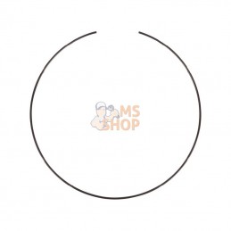 CI117107; CARRARO; Bague; pièce detachée