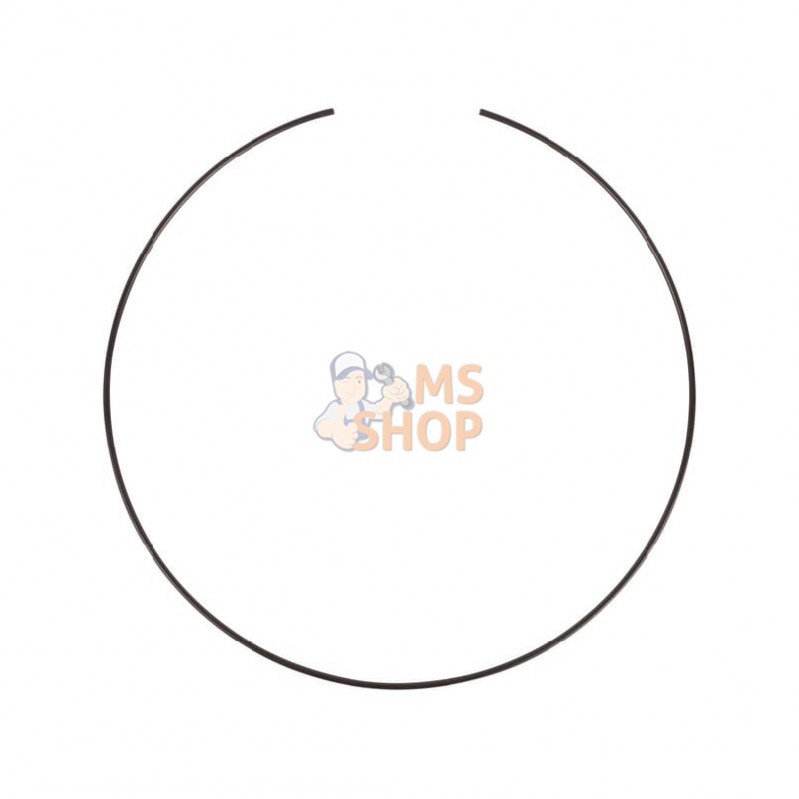 CI117107; CARRARO; Bague; pièce detachée