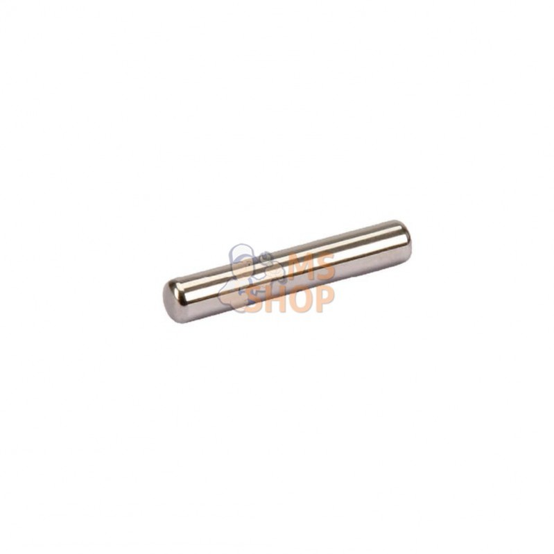 CI028294; CARRARO; Roulement à rouleaux; pièce detachée