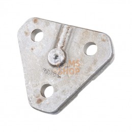 CI133084; CARRARO; Pivot de fusée; pièce detachée