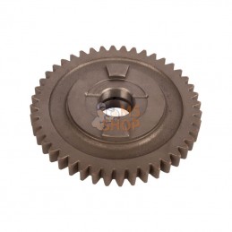 CI123652; CARRARO; Pignon Z-44; pièce detachée