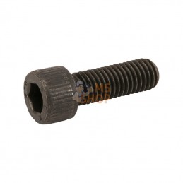 CI021410; CARRARO; Vis M10x30mm; pièce detachée