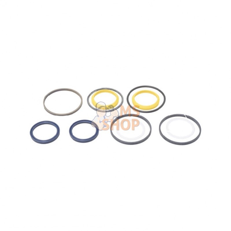CI049117; CARRARO; Vérin de direction, kit de joints; pièce detachée
