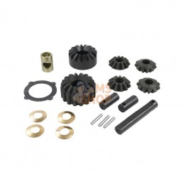 CI066317; CARRARO; Différentiel, kit engrenages; pièce detachée