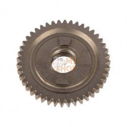 CI130824; CARRARO; Pignon; pièce detachée