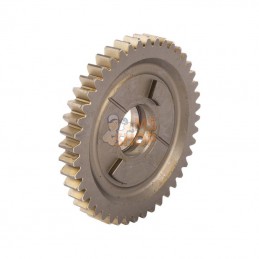 CI130824; CARRARO; Pignon; pièce detachée