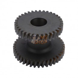 CI139409; CARRARO; Pignon double; pièce detachée