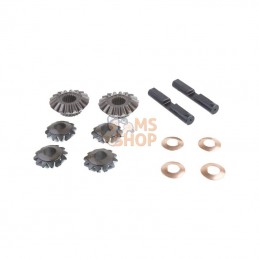 CI066145; CARRARO; Différentiel, kit engrenages; pièce detachée