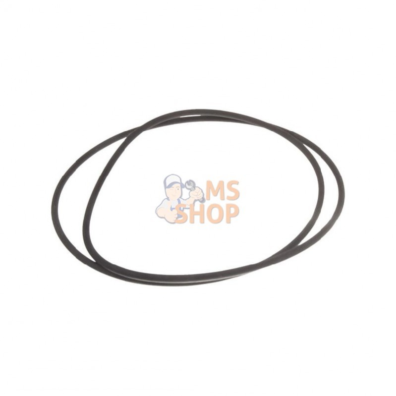 CI028561; CARRARO; Joint torique; pièce detachée