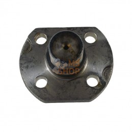 CI129206; CARRARO; Pivot de fusée; pièce detachée