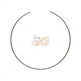 CI125233; CARRARO; Bague élastique; pièce detachée