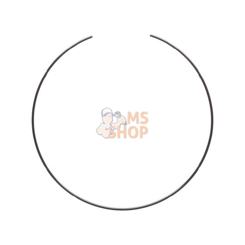 CI125233; CARRARO; Bague élastique; pièce detachée