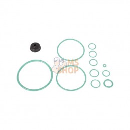 CI046421; CARRARO; Kit, réparation; pièce detachée