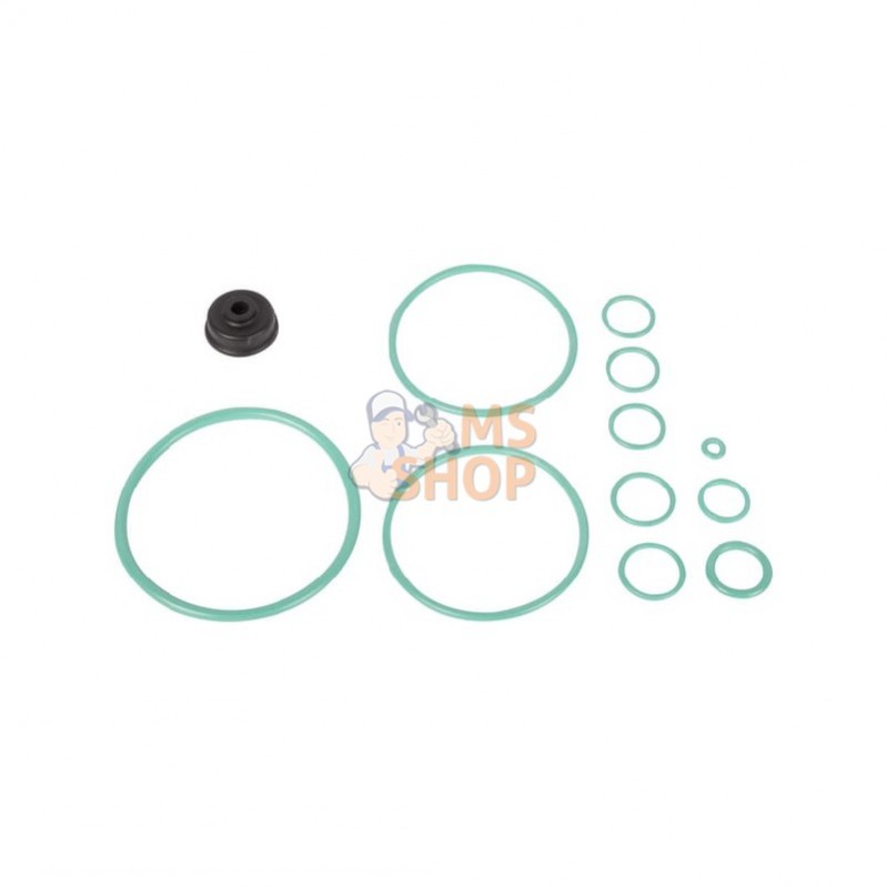 CI046421; CARRARO; Kit, réparation; pièce detachée CI046421; CARRARO; Kit, réparation; pièce detachée