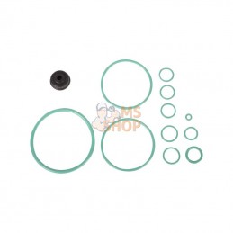 CI046421; CARRARO; Kit, réparation; pièce detachée