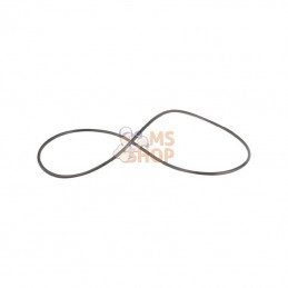 CI028638; CARRARO; Joint torique 133,02x2,62 mm; pièce detachée