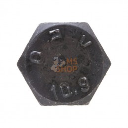 CI125229; CARRARO; Vis; pièce detachée