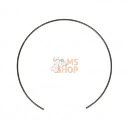 CI125344; CARRARO; Bague élastique; pièce detachée