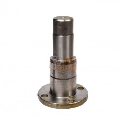 CI141903; CARRARO; Boulon de cylindre; pièce detachée