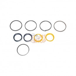CI049210; CARRARO; Vérin de direction, kit de joints; pièce detachée