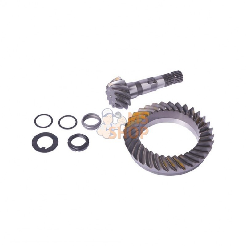 CI066918; CARRARO; Kit de pignon conique; pièce detachée