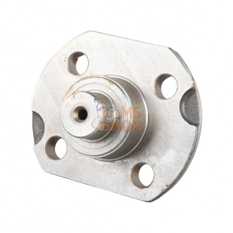 CI129207; CARRARO; Pivot de fusée; pièce detachée