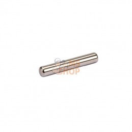 CI028392; CARRARO; Aiguilles, 5X14,5mm; pièce detachée