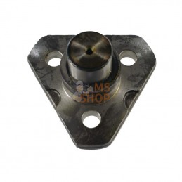CI128880; CARRARO; Pivot de fusée Carraro; pièce detachée