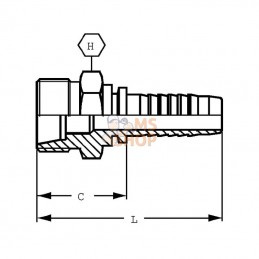 PS612; DIETZEL; Raccord DN06-M20x150-12S; pièce detachée