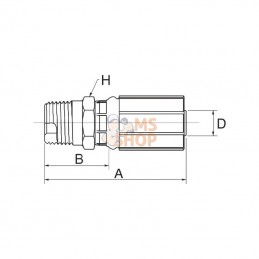 12G12MBSPT; GATES; Racc. à sertir DN19-3/4 BSPT; pièce detachée