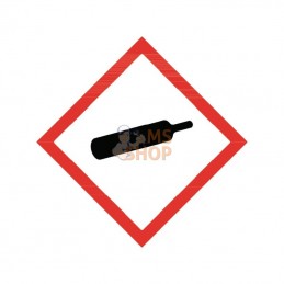 L10160; SAIP; Accumulateur hydraulique 0,1 L 60 bar; pièce detachée