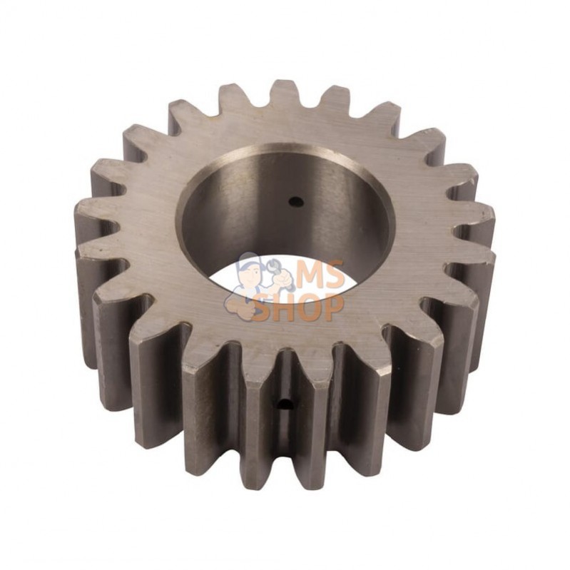 016446440N; RECINSA; Gear Z21; pièce detachée 016446440N; RECINSA; Gear Z21; pièce detachée