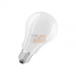 CLA150840FG1; OSRAM; Ampoule LED 17 W E27 840; pièce detachée