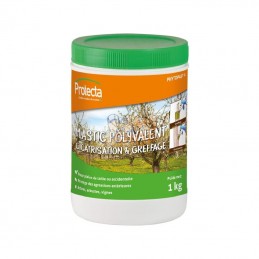 PVCIC01011; PROTECTA; Mastic à greffer 1kg; pièce detachée