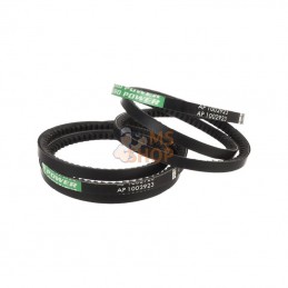 X696615002000AB1; OPTIBELT; Courroie trapézoïdale; pièce detachée
