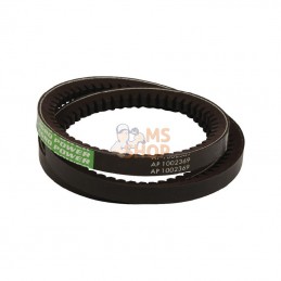 41921700AB; OPTIBELT; Courroie trapézoïdale; pièce detachée