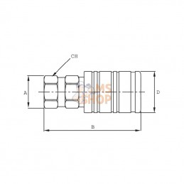 3CPV12NPTF; FASTER; Coupleur 1/2 NPT; pièce detachée
