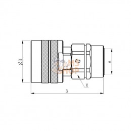 CVV0871415MV; FASTER; Raccord rapide; pièce detachée