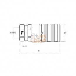 3FFH0812GASF; FASTER; Coupleur face plane fem 1/2BSP; pièce detachée