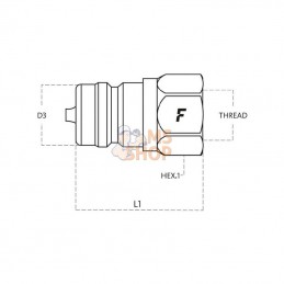 NV1258SAEM; FASTER; Raccord rapide NV5/8; pièce detachée