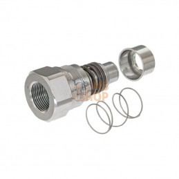 KIT2FNB1GASF; FASTER; Cartouche 1 douille 1 BSP; pièce detachée