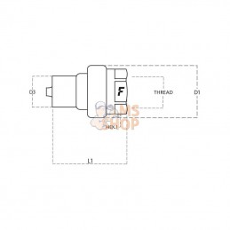 VV1GASM; FASTER; Coupleur mâle VV 1" BSP; pièce detachée