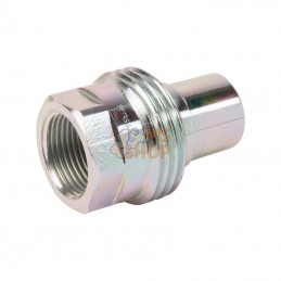 VV1GASM; FASTER; Coupleur mâle VV 1" BSP; pièce detachée