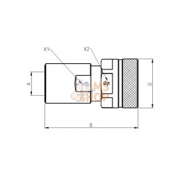 VVS114GASF; FASTER; Coupleur femelle VVS 1"1/4 BSP; pièce detachée