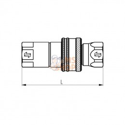 ANV38NPTF; FASTER; Coupleur femelle 3/8" NPT; pièce detachée
