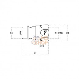 ANV38NPTM; FASTER; Coupleur à clapet mâle 3/8 NPT; pièce detachée