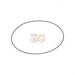 0062350; SOLO; Joint torique/joint filt. Solo; pièce detachée