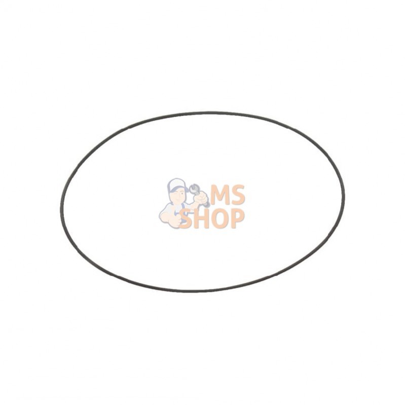 0062350; SOLO; Joint torique/joint filt. Solo; pièce detachée