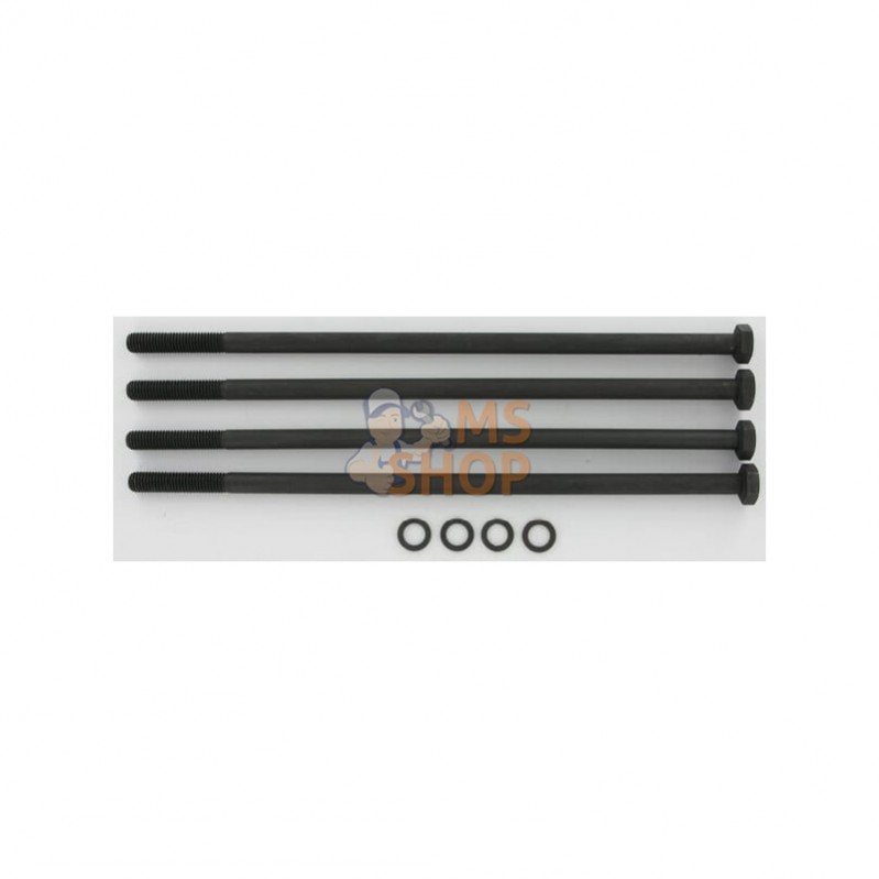PLP920M10290; CASAPPA; Jeu de boulons Polaris 20 M10x290; pièce detachée PLP920M10290; CASAPPA; Jeu de boulons Polaris 20 M10x290; pièce detachée